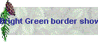 Bright Green border shower curtain