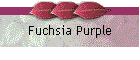 Fuchsia Purple