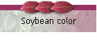 Soybean color