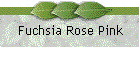 Fuchsia Rose Pink